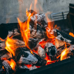 Allume-feu pour Barbecue Cheminée Allumeurs Poele a Bois 10 kg Flameup