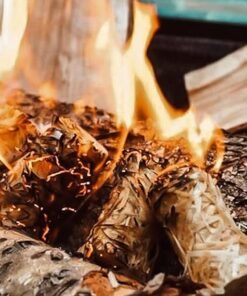 Allume-Feux naturels Eco Blaze x 200 pièces